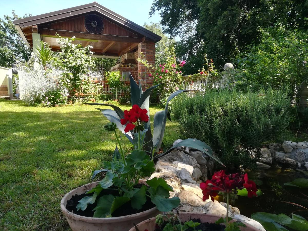 Apartment Cajt Umag Kültér fotó